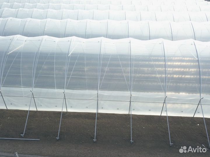Пленка для теплицы полиэтиленовая 6 сезонов