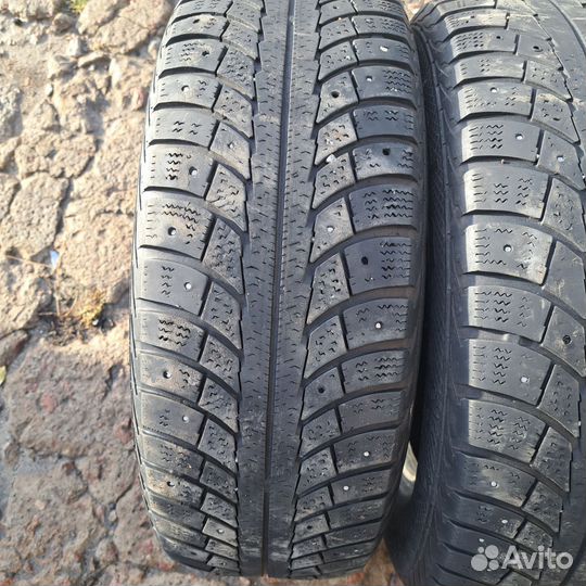 Collins Winter Extrema 195/65 R15