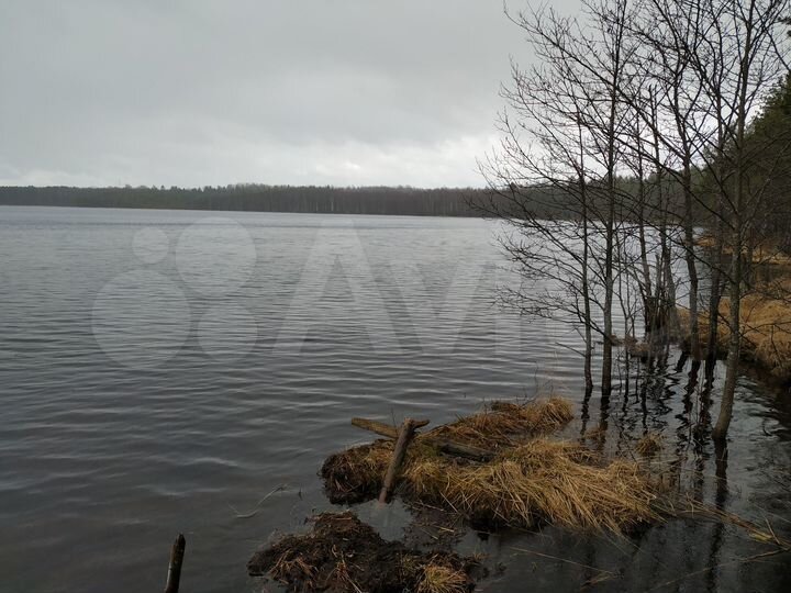 Дом 54 м² на участке 15 сот.