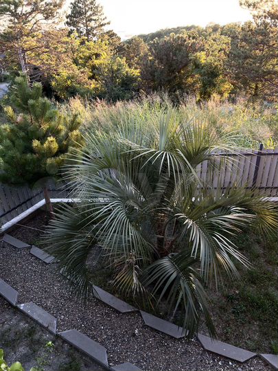 Дом 300 м² на участке 8 сот.