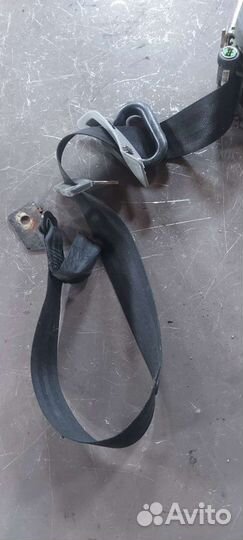 Ремень задний на Volkswagen Phaeton