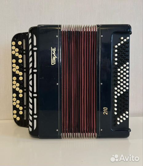 Баян Тула 210