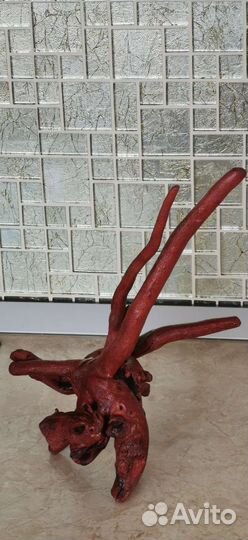 Коллекционирование Дракон