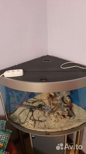 Аквариум угловой с тумбой juwel 190 литров