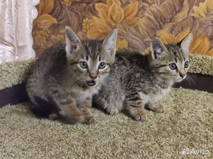 Привет из зоны сво