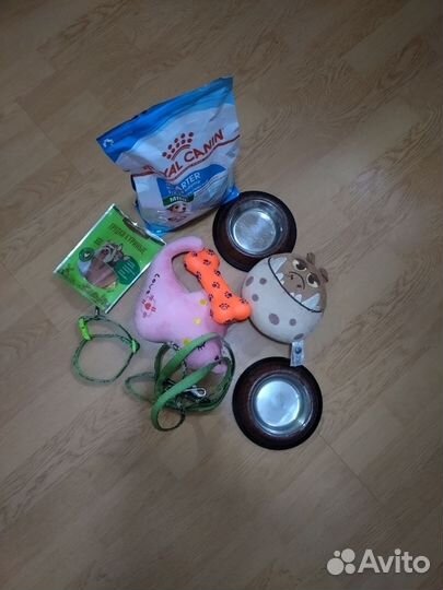 Померанский шпиц мини