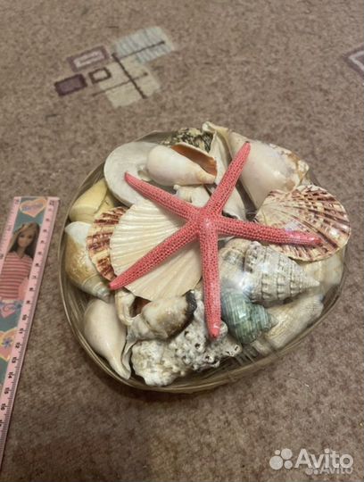 Корзина с ракушками новая