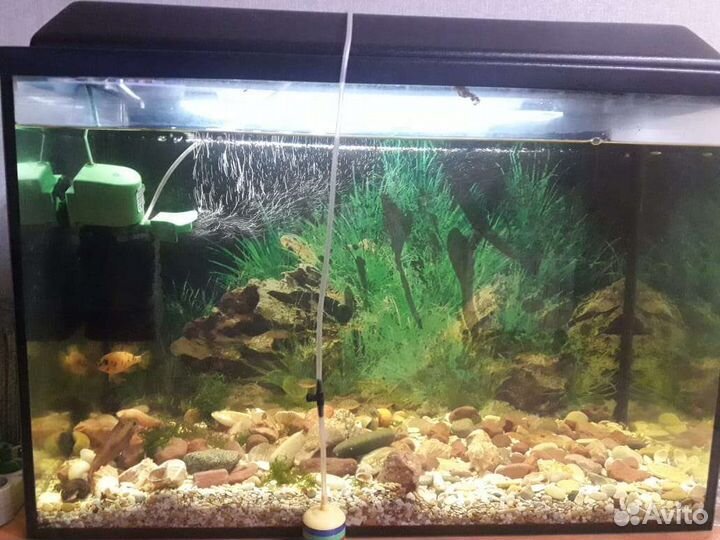 Аквариум