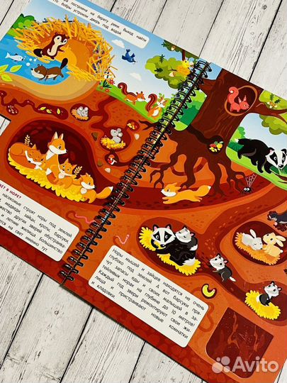 Большая книга-перевертыш