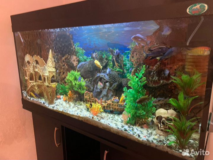Аквариум с тумбой juwel 220 литр