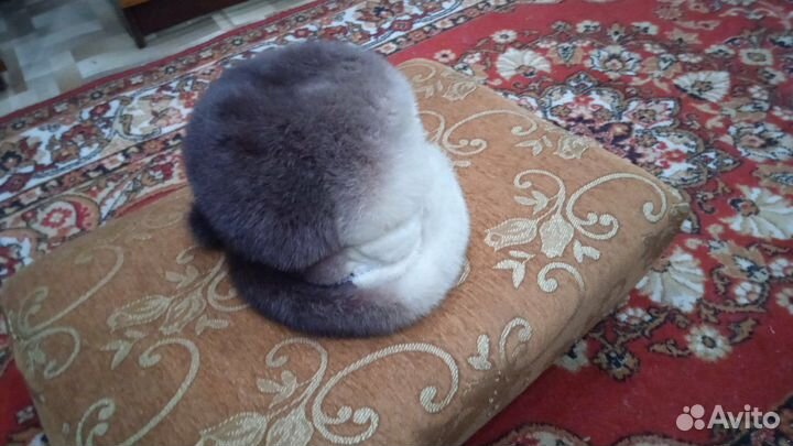 Норковая шапка