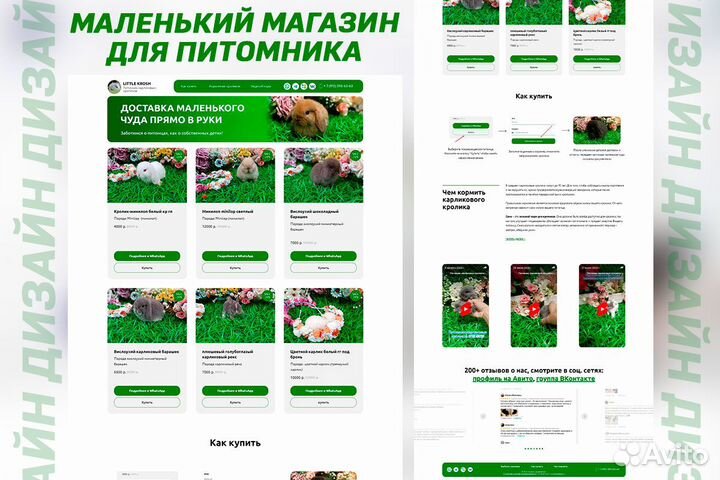 Создание сайтов и продвижение в Петрозаводске