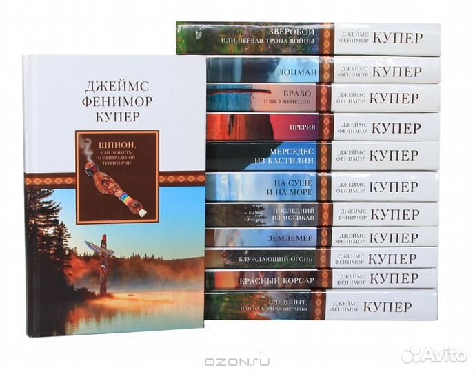 Домашняя библиотека