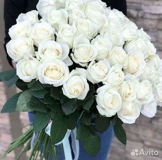 Розы гиганты 140 150 160 170 180 200