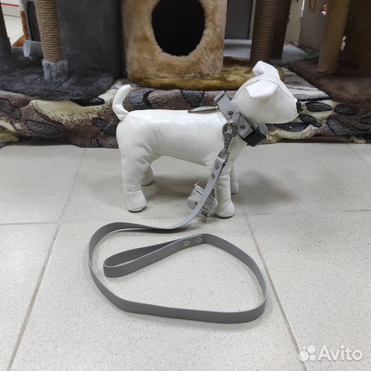 Ошейник и поводок