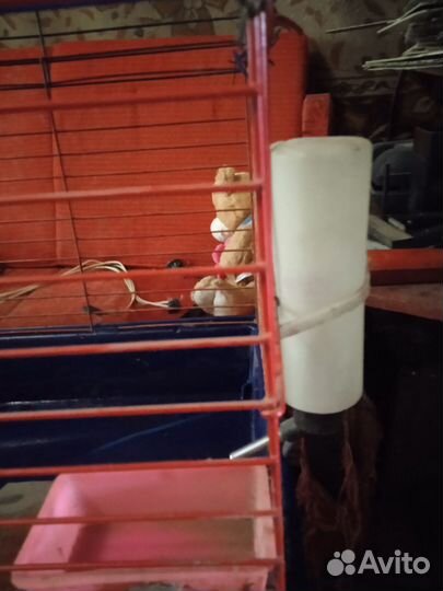 Клетка для животных размер 70*80*45