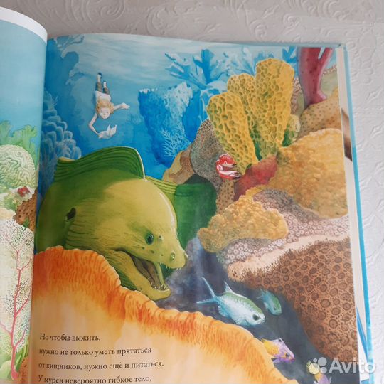 Книга Коралловые рифы