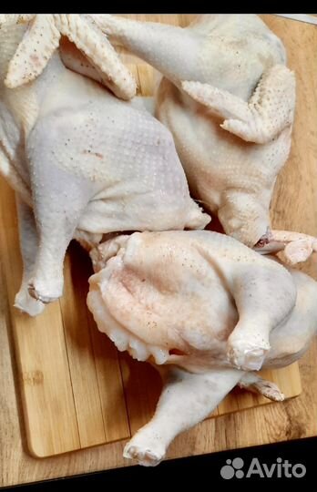 Мясо домашних несушек