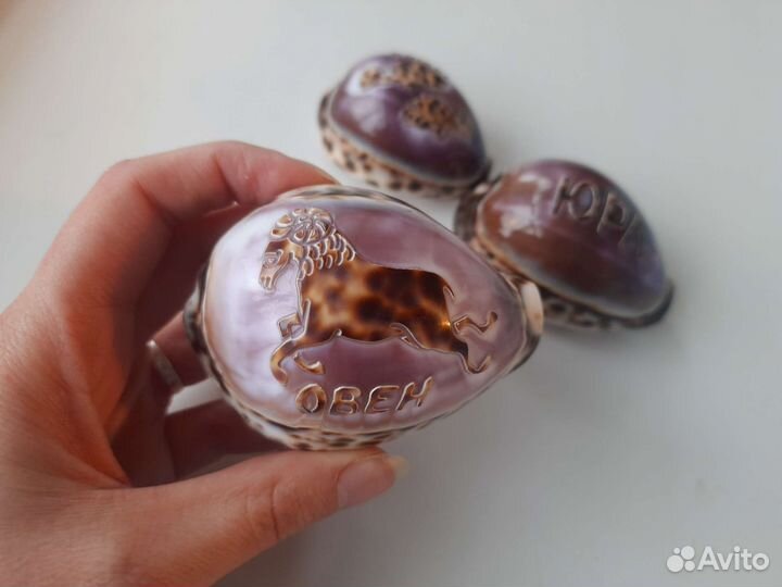 Ракушка с надписью