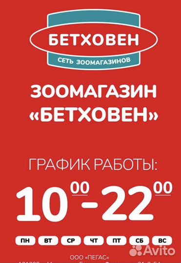 Продавец кассир в зоомагазин, г.Москва