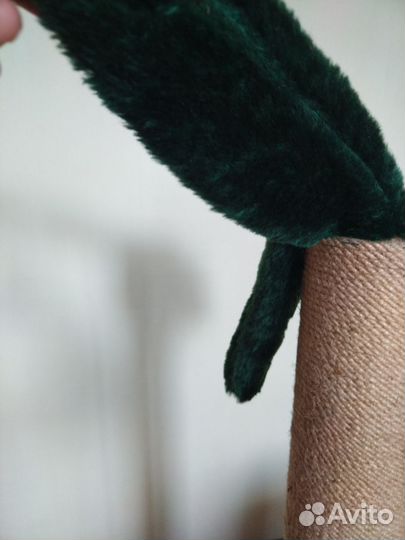 Когтеточка