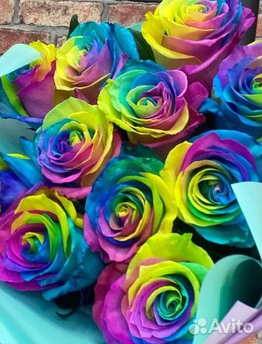 Радужные Розы Цветные 25 51 101