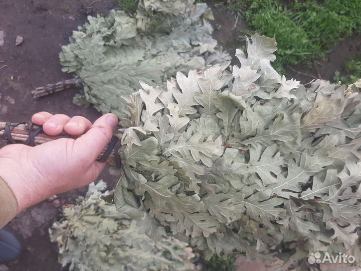 Веники для бани