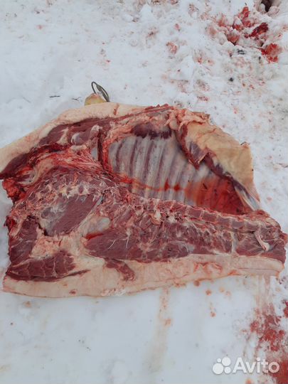 Мясо свинина домашняя