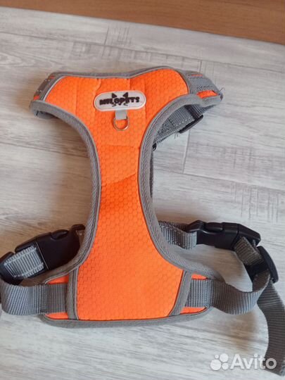 Амуниция для собак