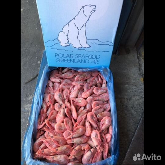Креветки северные гренландские