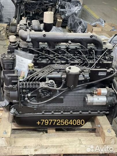 Двигатель Ммз Д-260 новый