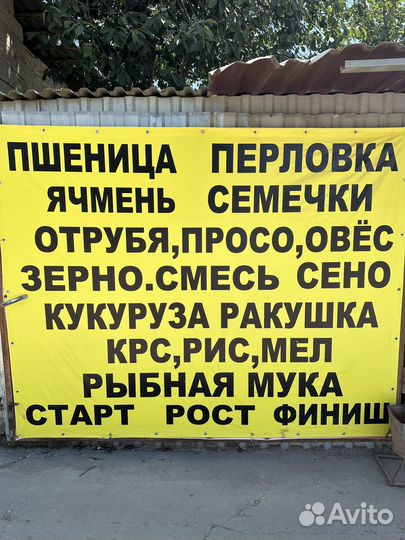 Корма для животных