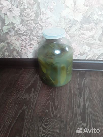 Соленья