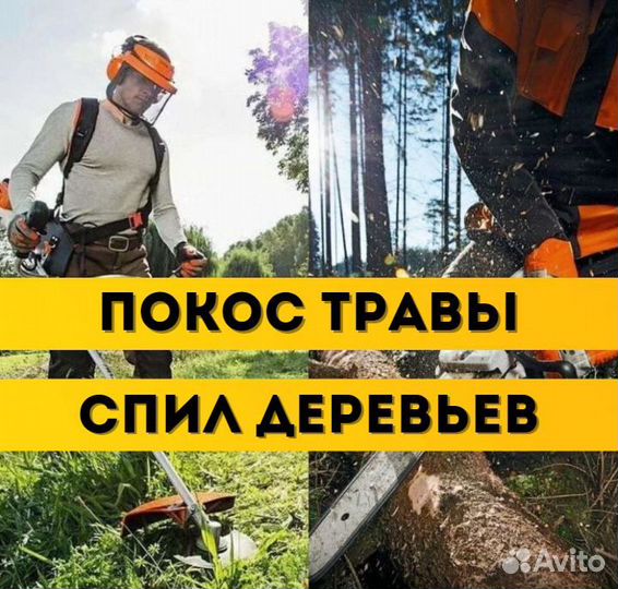Покос травы Спил деревьев Расчистка участка