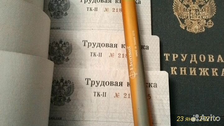 Трудовая книжка тк2