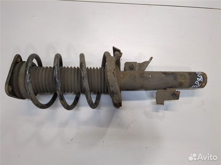 Амортизатор подвески Ford Focus 2, 2010