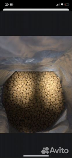 Корм для собак фармина