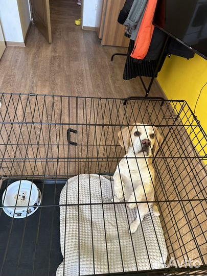 Клетка для животных бу