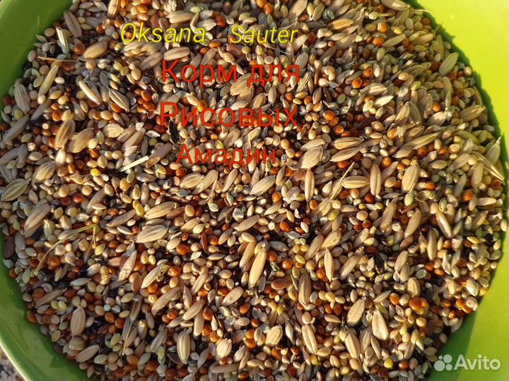 Корма для птиц