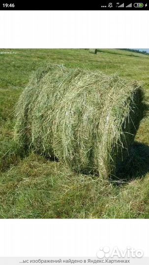 Сено мелкое,ароматное