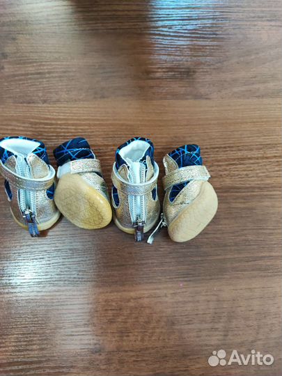 Одежда для собак мелких пород