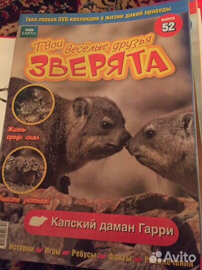 Коллекция «твои веселые друзья зверята»