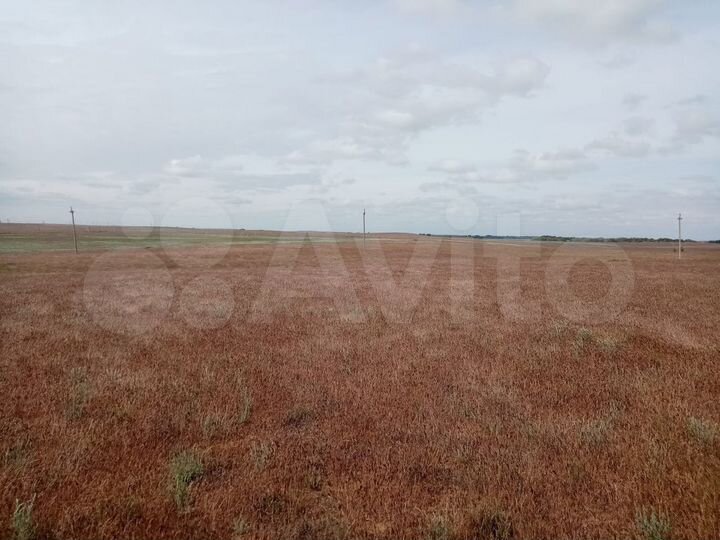 Участок 32 га (СНТ, ДНП)