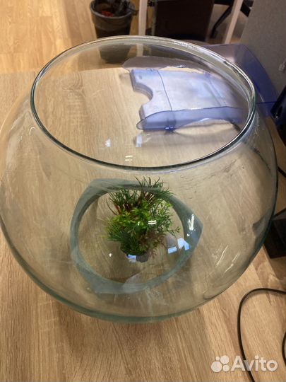 Аквариум для рыбок круглый 20 л