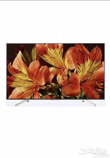 Телевизор Sony KD-49XF8596