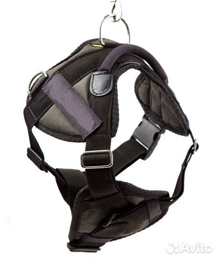 Снаряжение для дрессировки собак