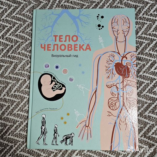 Тело человека. визуальный гид. Кристина Перабони