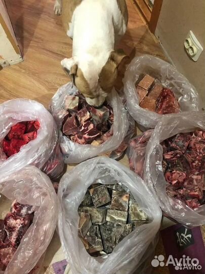 Мясо говядина для собак