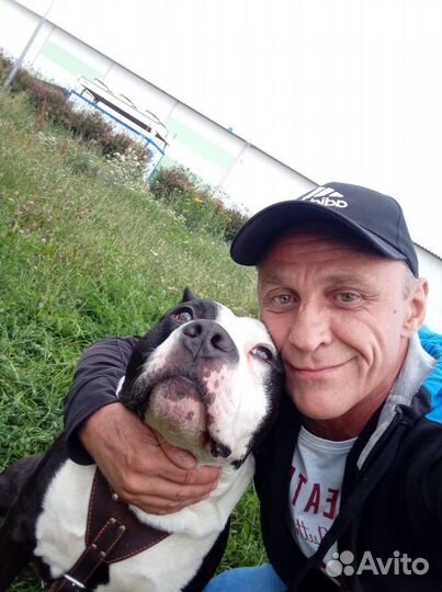 Водитель экспедитор