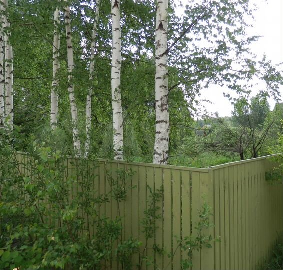 Участок 10 сот. (СНТ, ДНП)